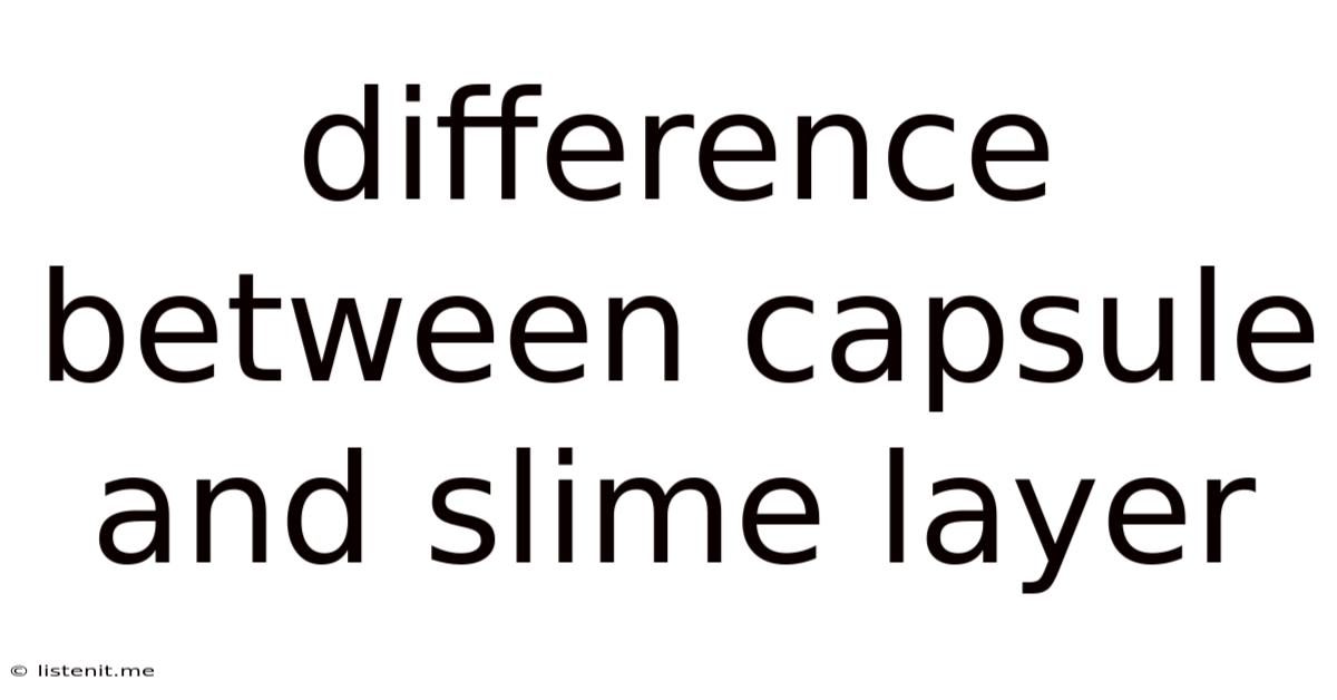 Difference Between Capsule And Slime Layer