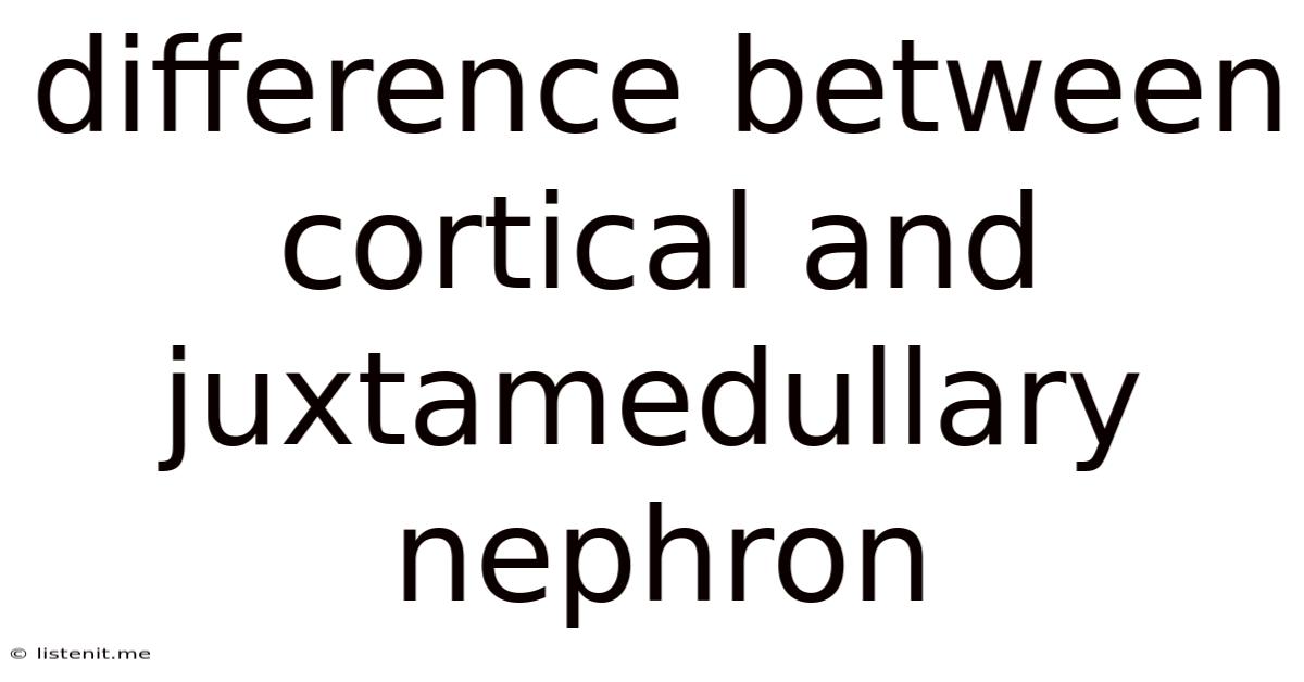 Difference Between Cortical And Juxtamedullary Nephron