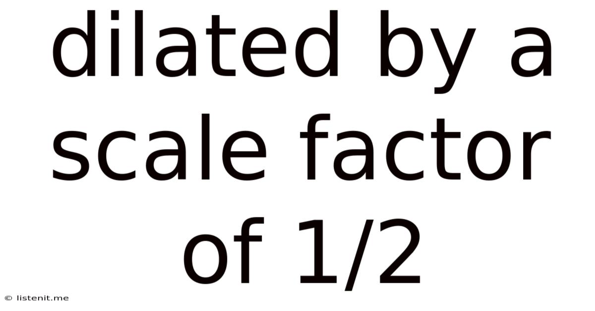 Dilated By A Scale Factor Of 1/2