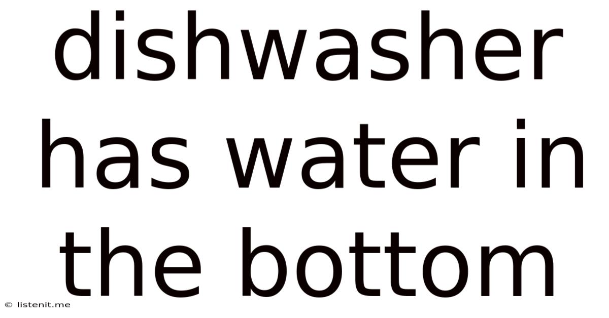Dishwasher Has Water In The Bottom