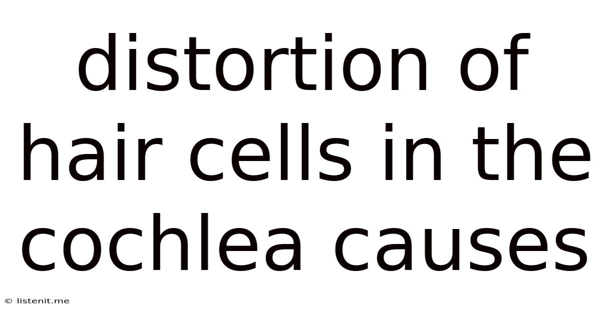 Distortion Of Hair Cells In The Cochlea Causes