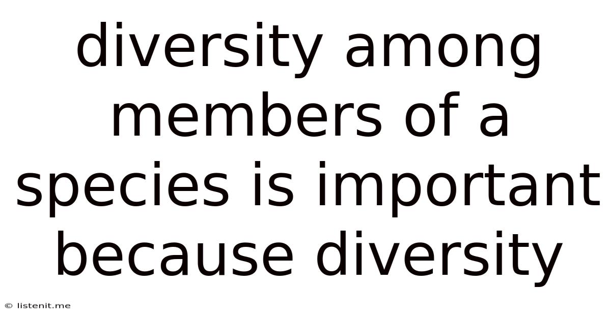 Diversity Among Members Of A Species Is Important Because Diversity