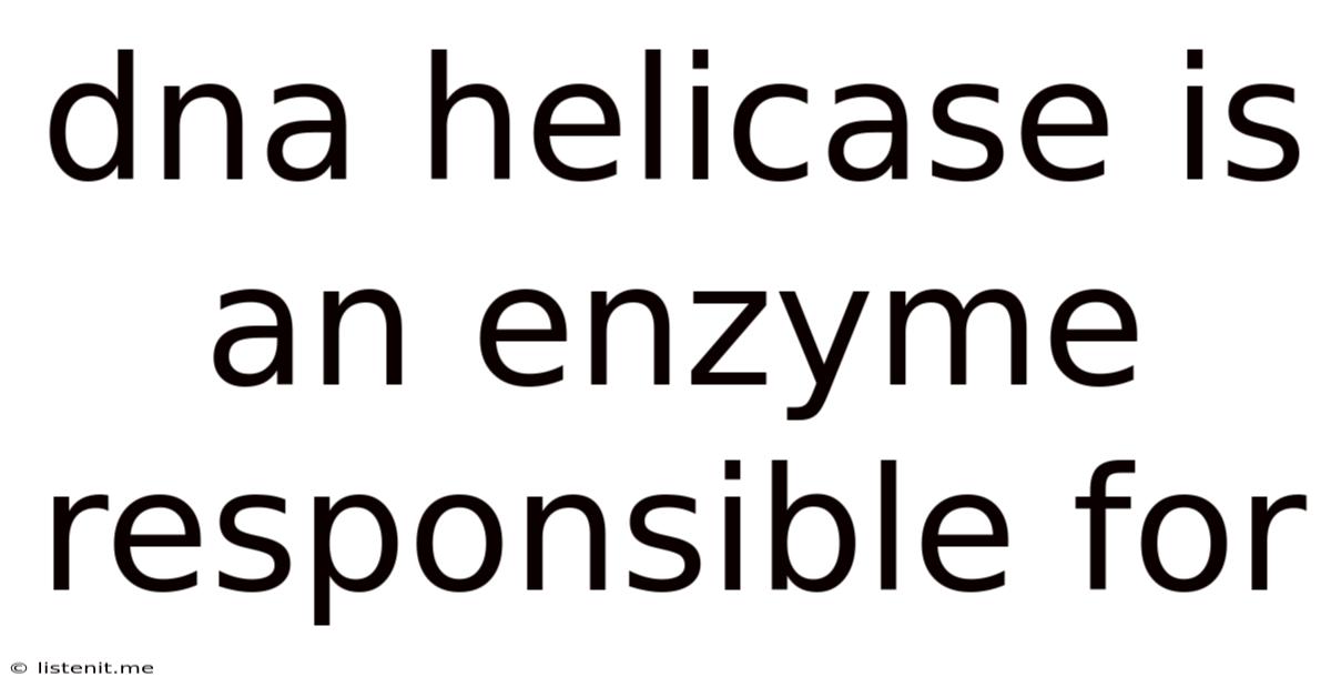 Dna Helicase Is An Enzyme Responsible For