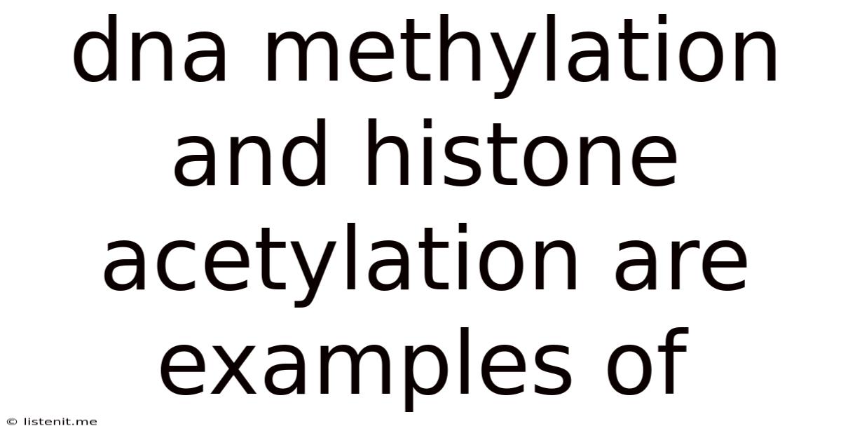Dna Methylation And Histone Acetylation Are Examples Of