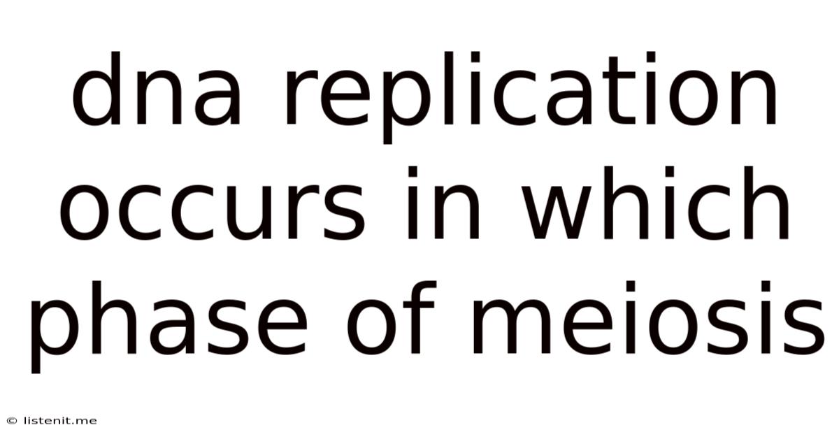 Dna Replication Occurs In Which Phase Of Meiosis