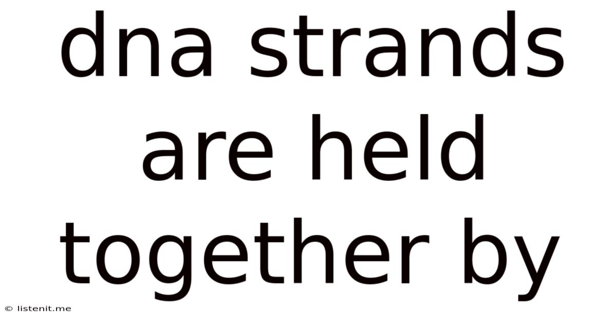 Dna Strands Are Held Together By