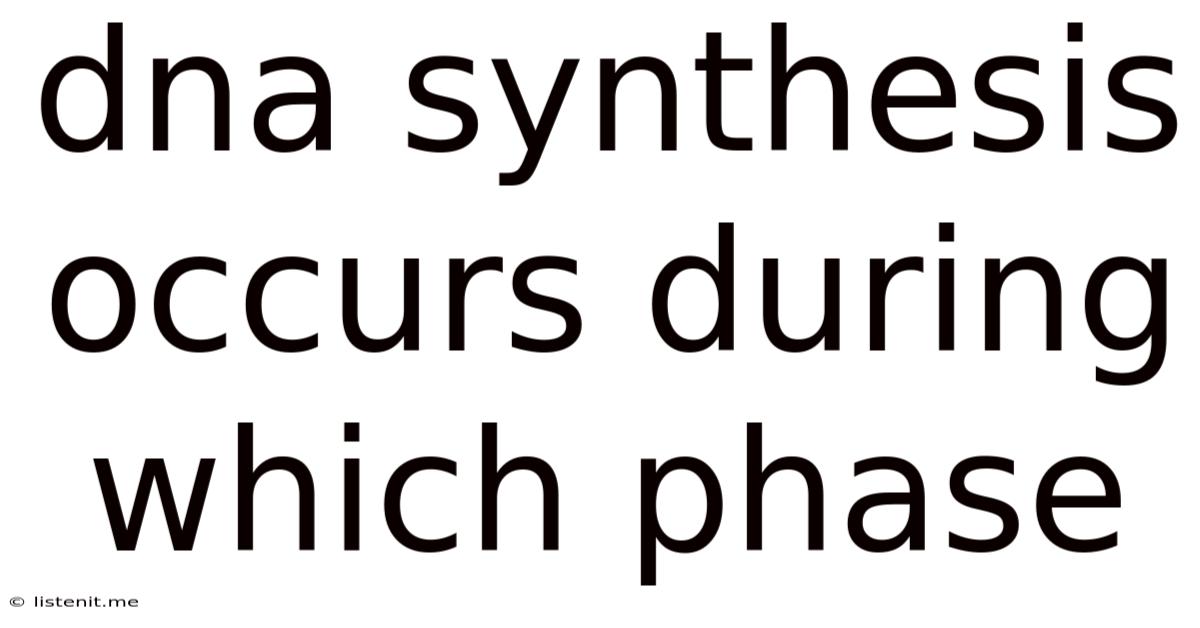 Dna Synthesis Occurs During Which Phase