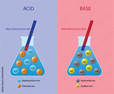 Do Acids Lose Or Gain Hydrogen Ions