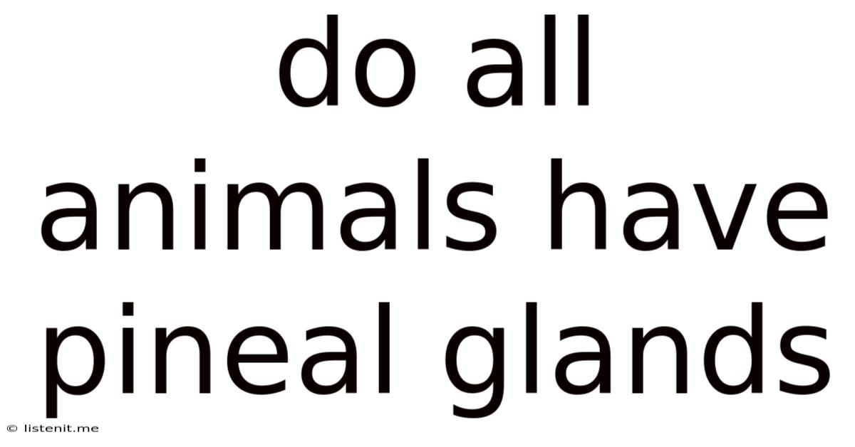 Do All Animals Have Pineal Glands