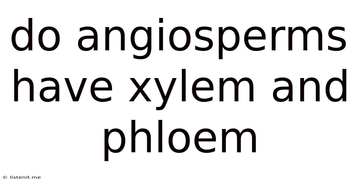 Do Angiosperms Have Xylem And Phloem