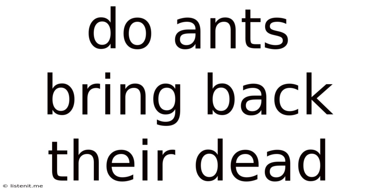Do Ants Bring Back Their Dead