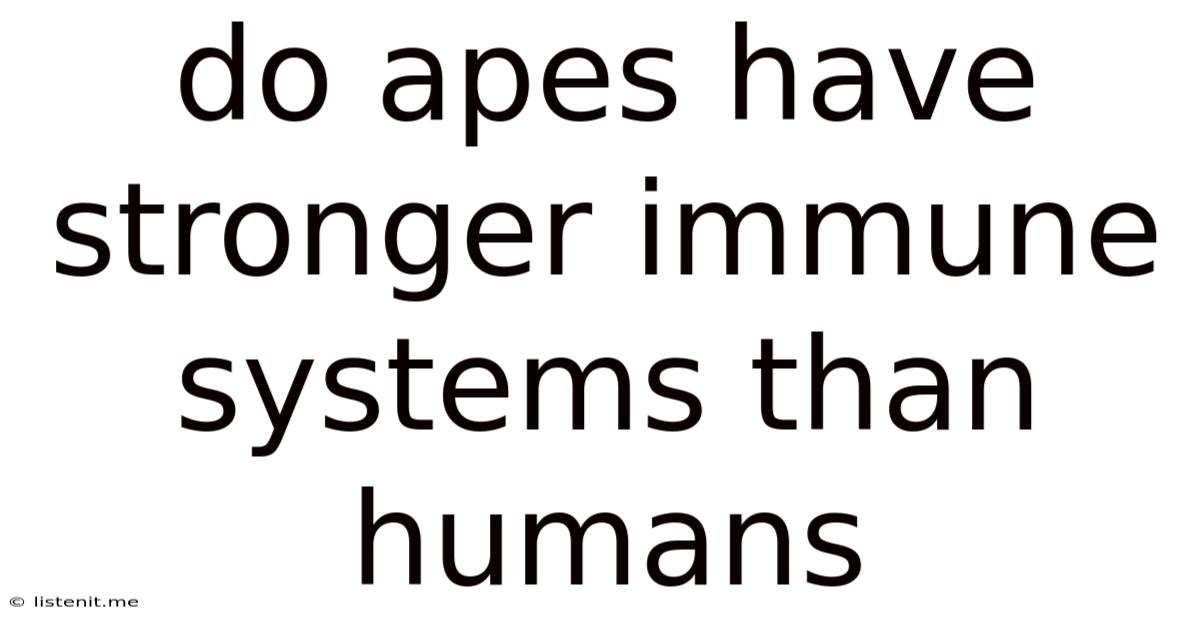 Do Apes Have Stronger Immune Systems Than Humans