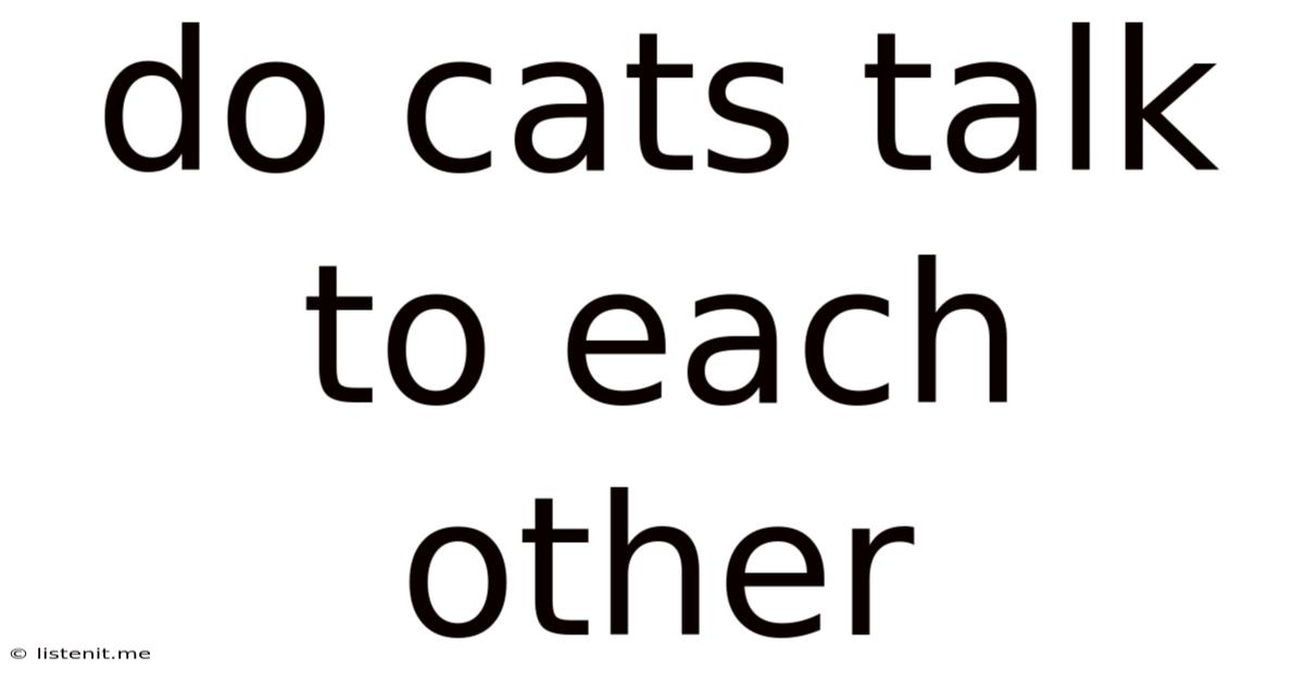 Do Cats Talk To Each Other