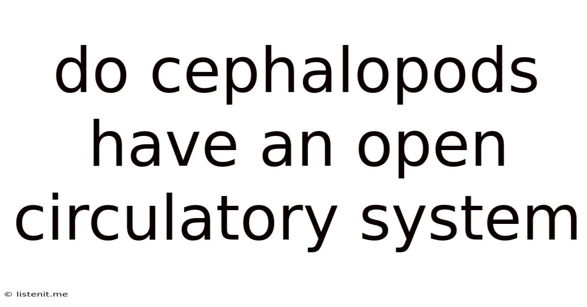 Do Cephalopods Have An Open Circulatory System