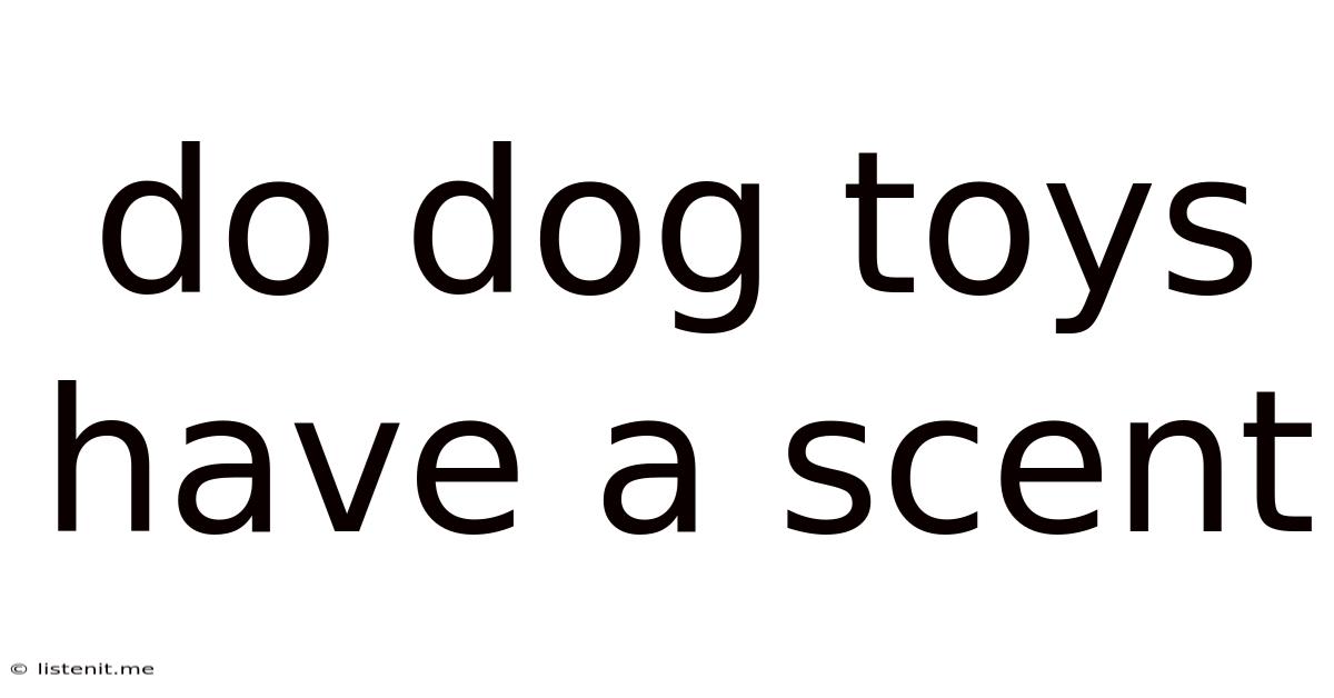 Do Dog Toys Have A Scent