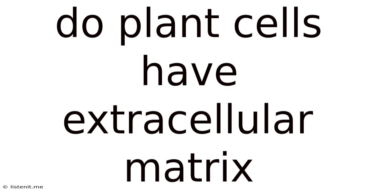 Do Plant Cells Have Extracellular Matrix