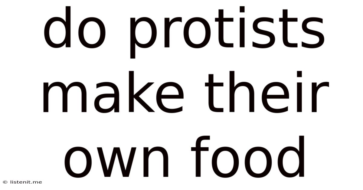 Do Protists Make Their Own Food