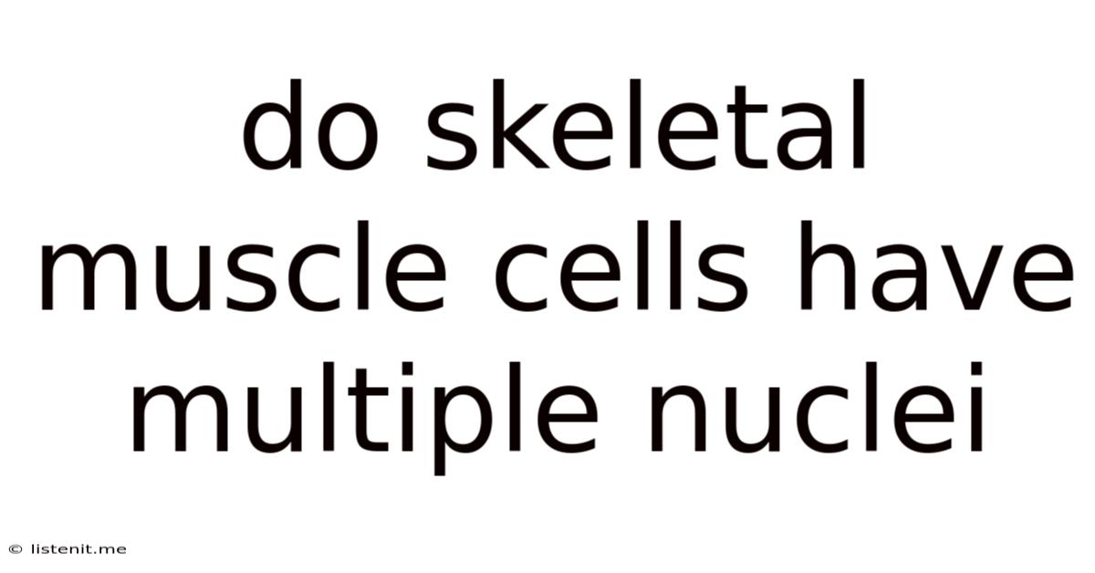 Do Skeletal Muscle Cells Have Multiple Nuclei