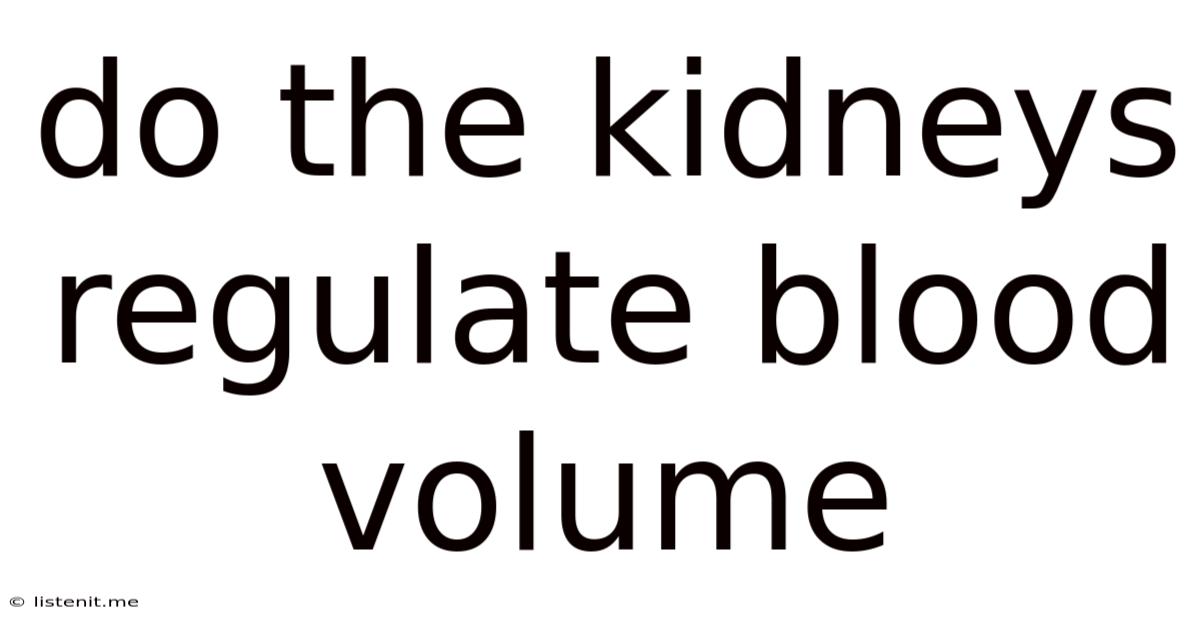 Do The Kidneys Regulate Blood Volume
