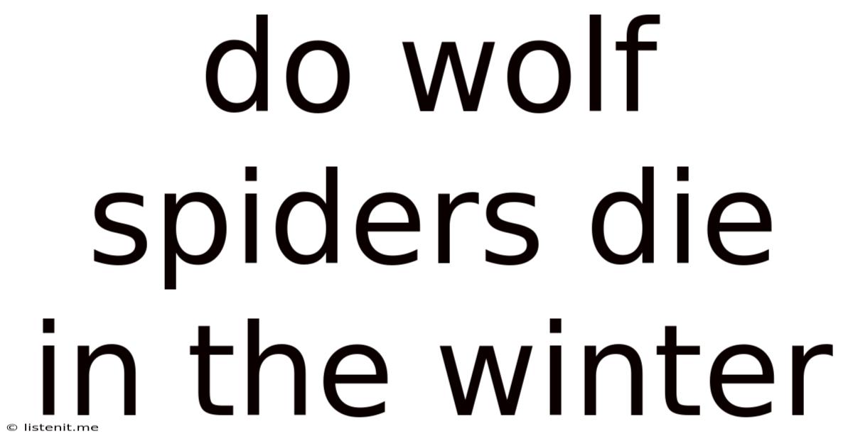 Do Wolf Spiders Die In The Winter