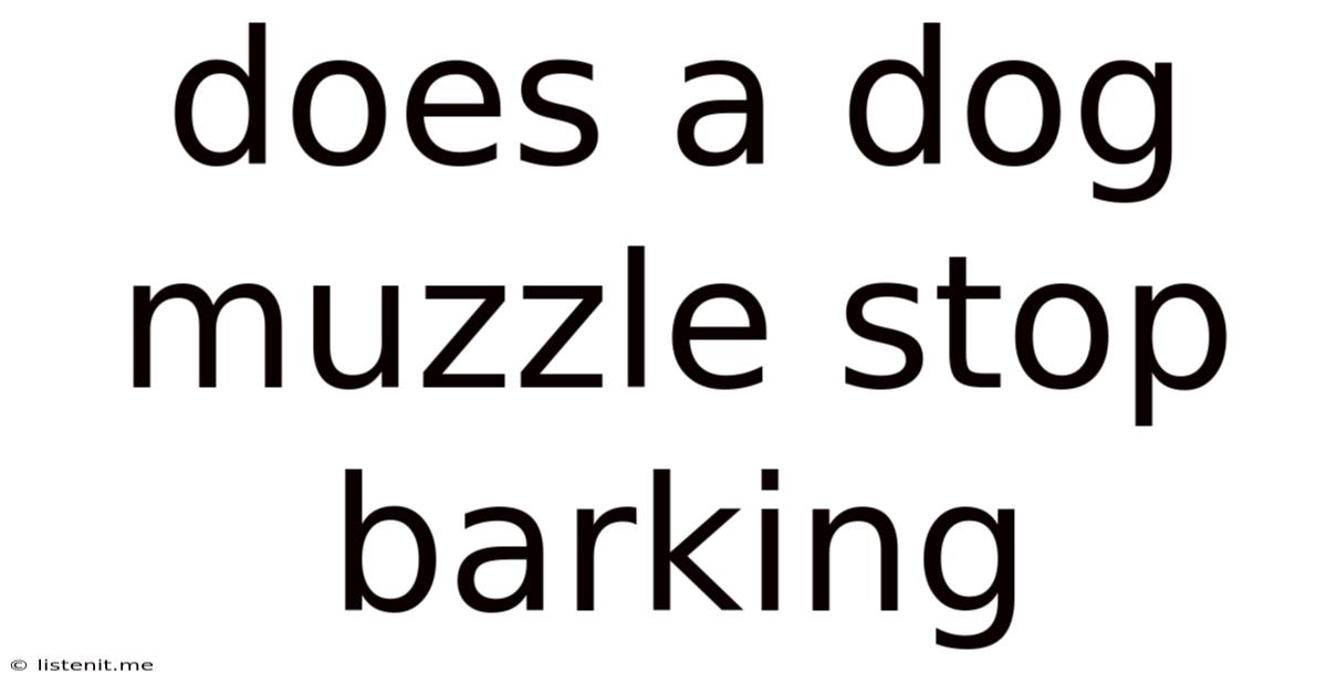 Does A Dog Muzzle Stop Barking