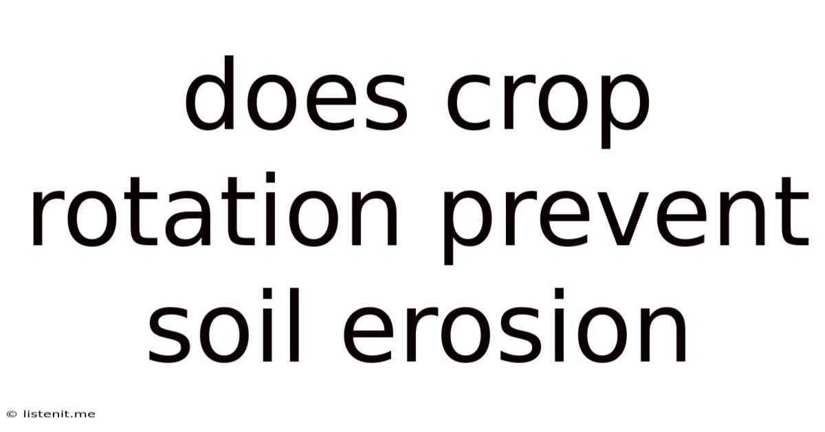 Does Crop Rotation Prevent Soil Erosion
