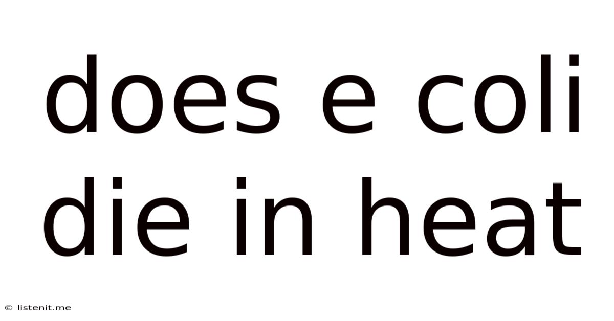 Does E Coli Die In Heat