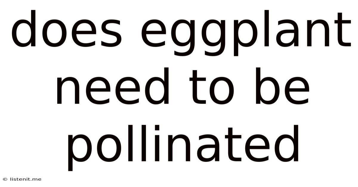 Does Eggplant Need To Be Pollinated