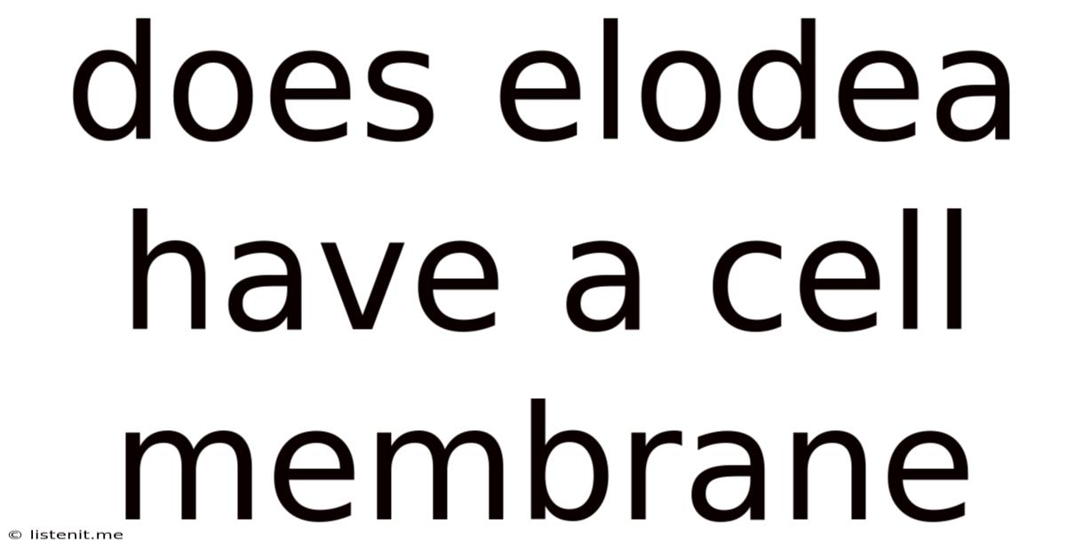 Does Elodea Have A Cell Membrane
