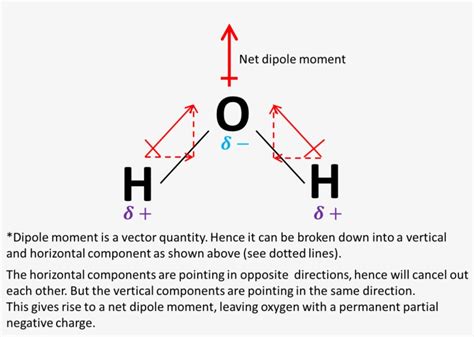 Does H20 Have Dipole Dipole Forces