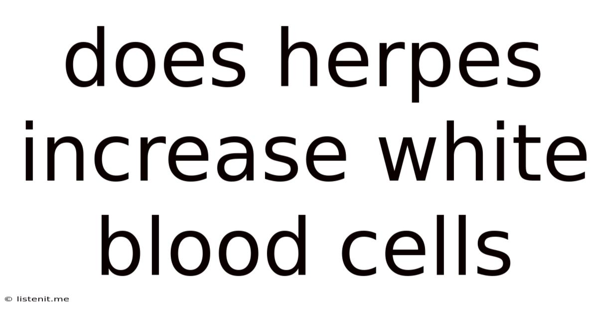 Does Herpes Increase White Blood Cells