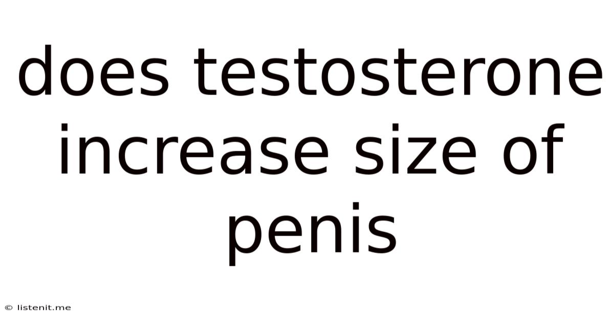 Does Testosterone Increase Size Of Penis