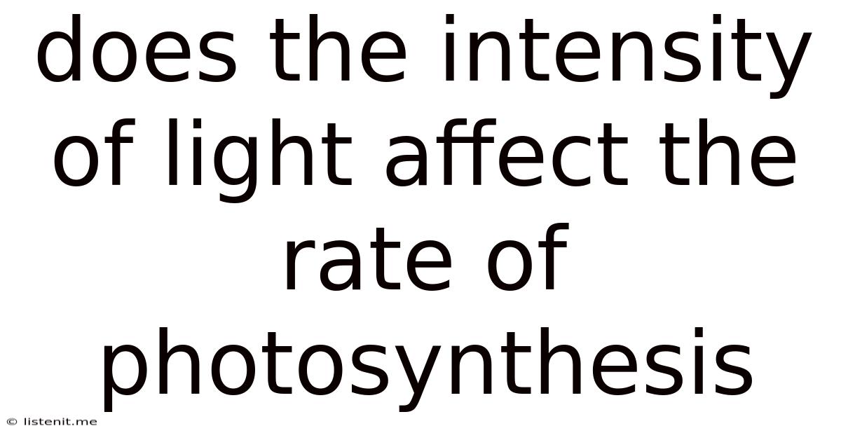 Does The Intensity Of Light Affect The Rate Of Photosynthesis
