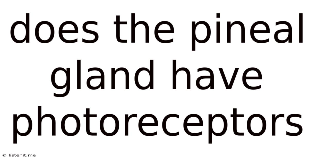 Does The Pineal Gland Have Photoreceptors