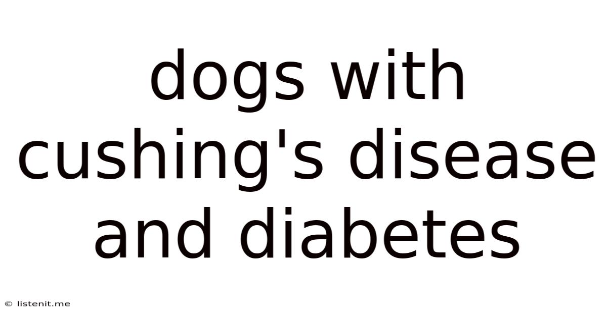 Dogs With Cushing's Disease And Diabetes
