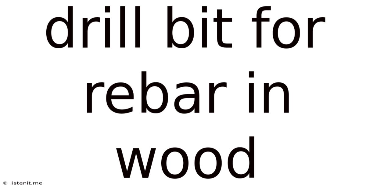 Drill Bit For Rebar In Wood