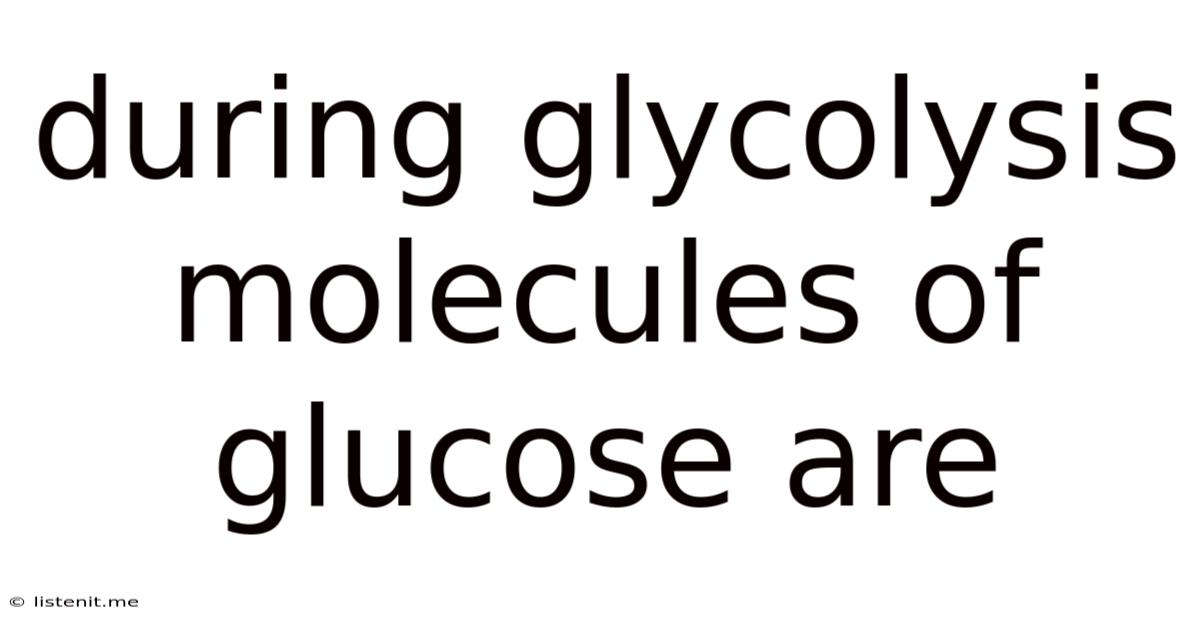 During Glycolysis Molecules Of Glucose Are