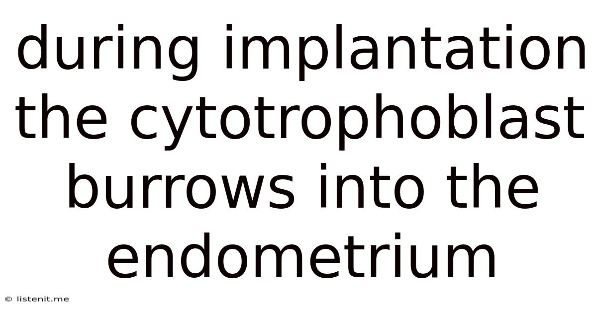 During Implantation The Cytotrophoblast Burrows Into The Endometrium