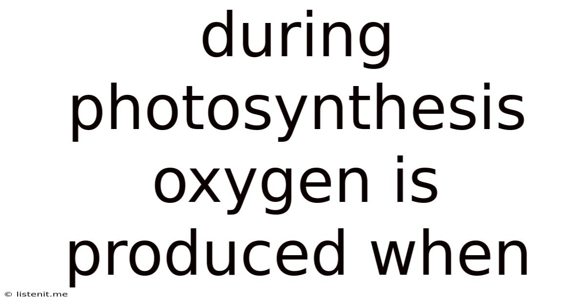 During Photosynthesis Oxygen Is Produced When