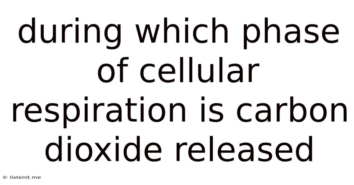During Which Phase Of Cellular Respiration Is Carbon Dioxide Released