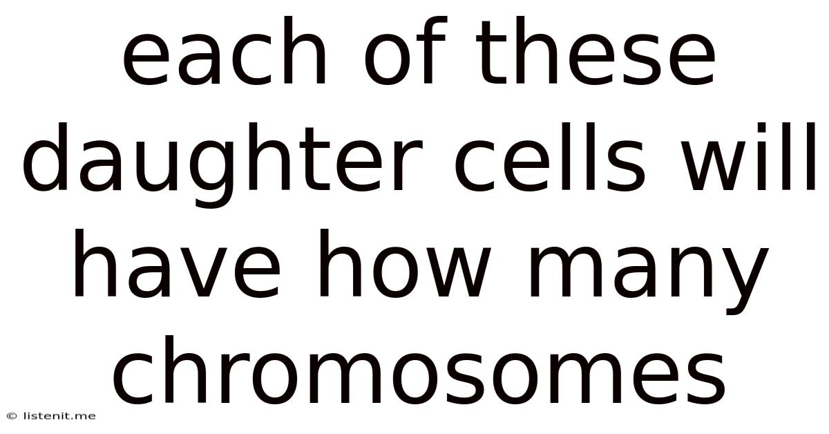 Each Of These Daughter Cells Will Have How Many Chromosomes