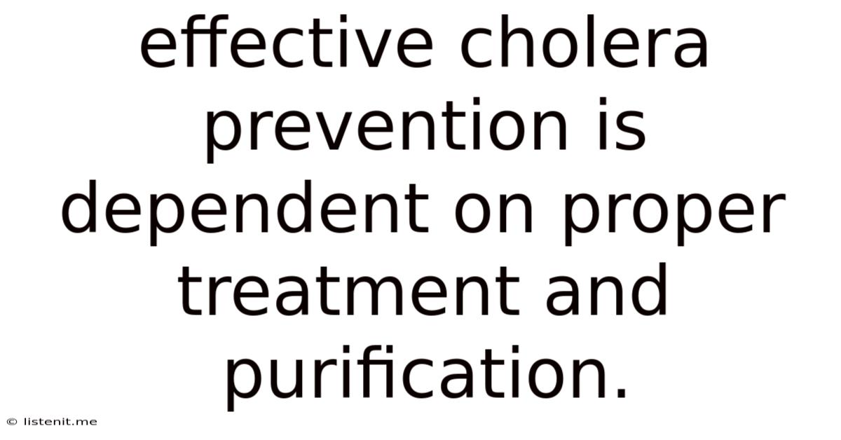Effective Cholera Prevention Is Dependent On Proper Treatment And Purification.