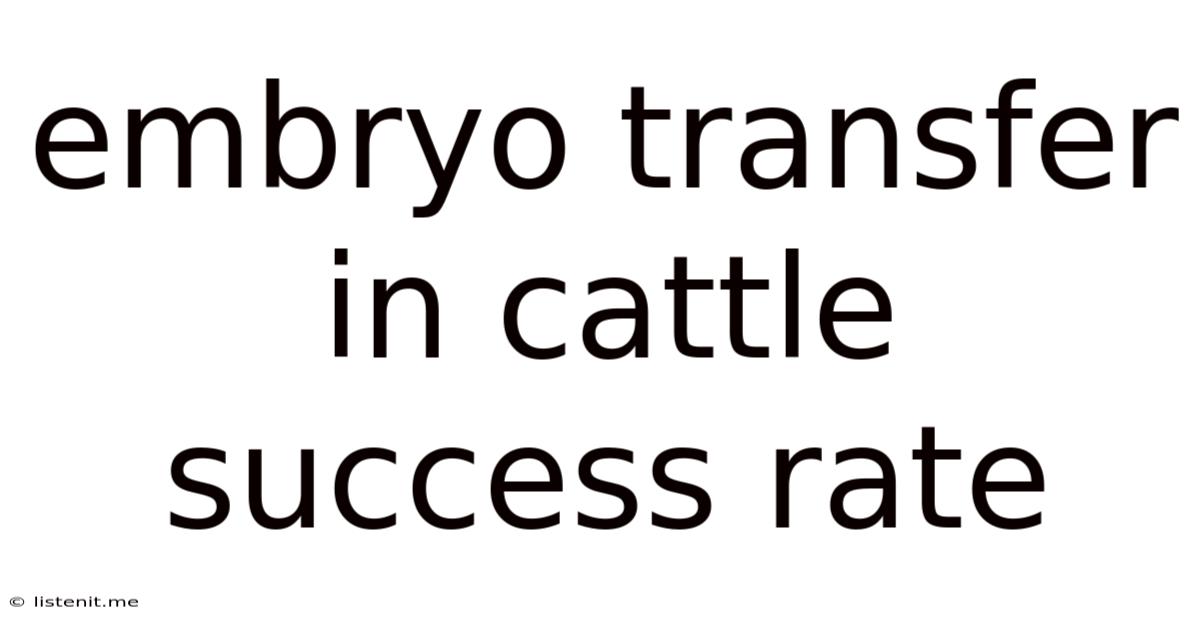 Embryo Transfer In Cattle Success Rate