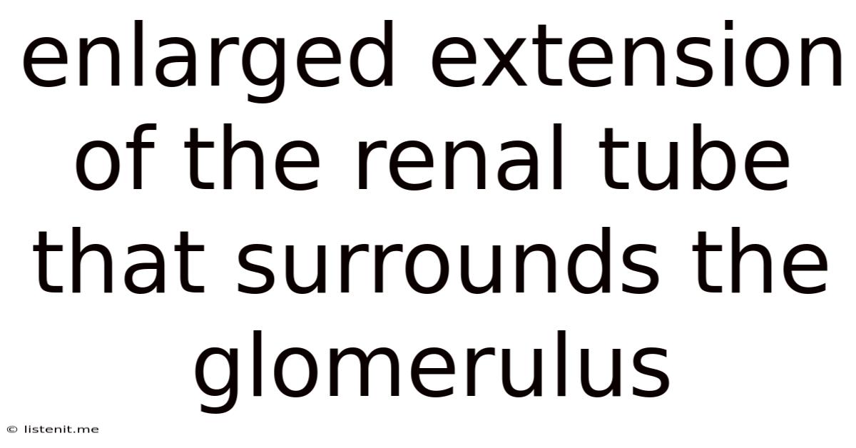 Enlarged Extension Of The Renal Tube That Surrounds The Glomerulus
