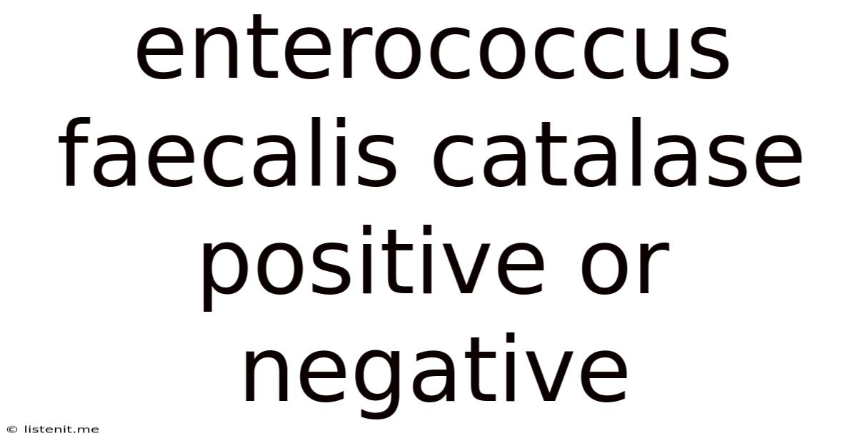 Enterococcus Faecalis Catalase Positive Or Negative