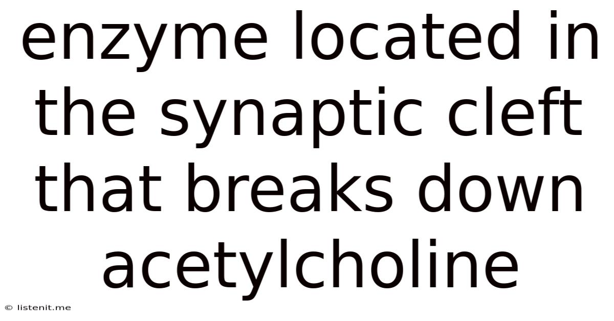 Enzyme Located In The Synaptic Cleft That Breaks Down Acetylcholine