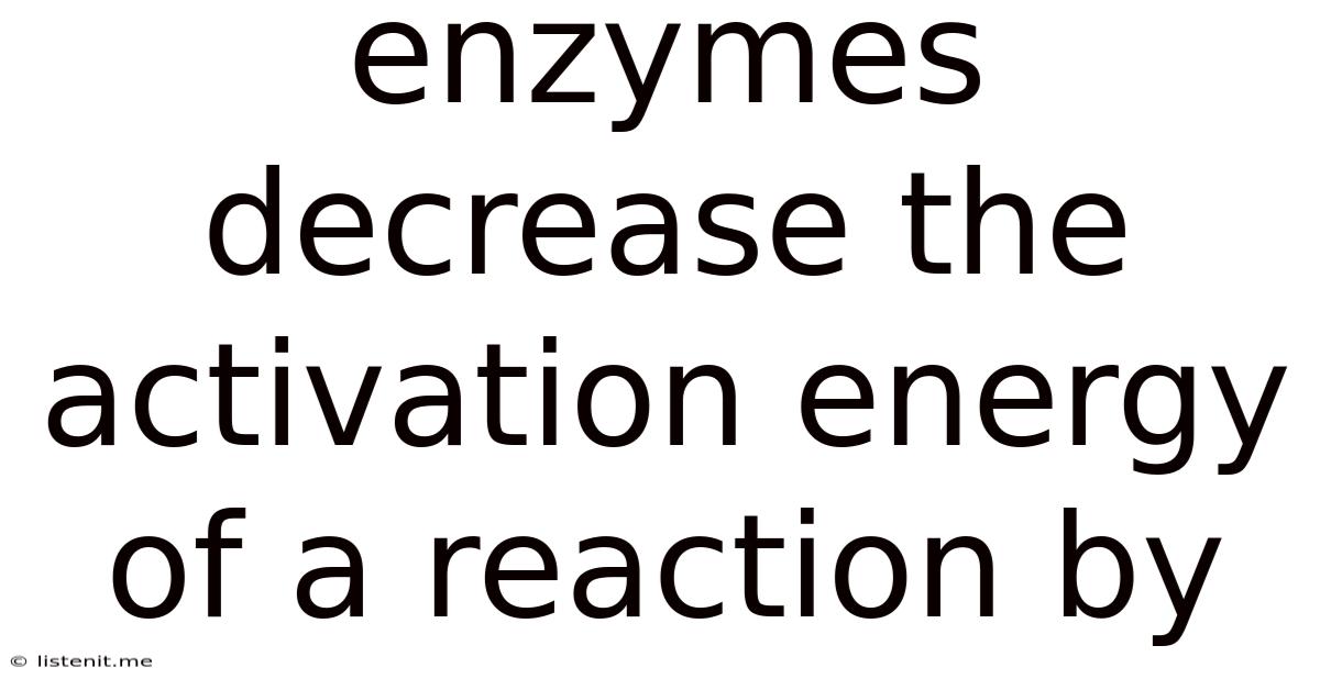 Enzymes Decrease The Activation Energy Of A Reaction By