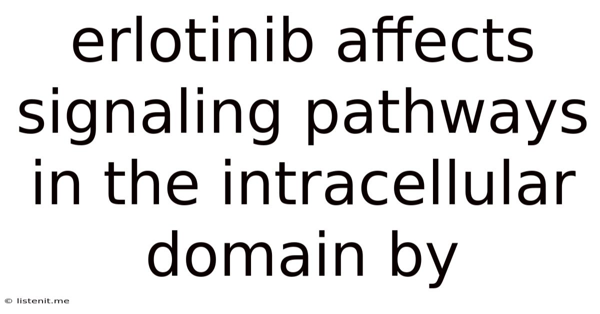 Erlotinib Affects Signaling Pathways In The Intracellular Domain By
