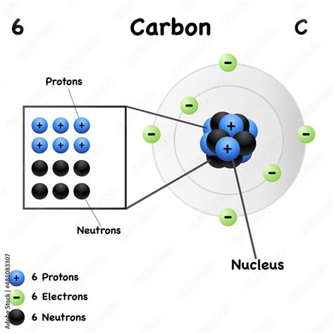 Every Atom Fo The Carbonn Has 6 Protons