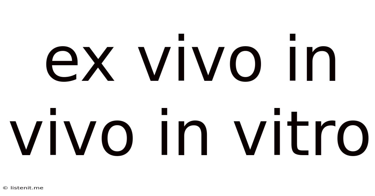 Ex Vivo In Vivo In Vitro